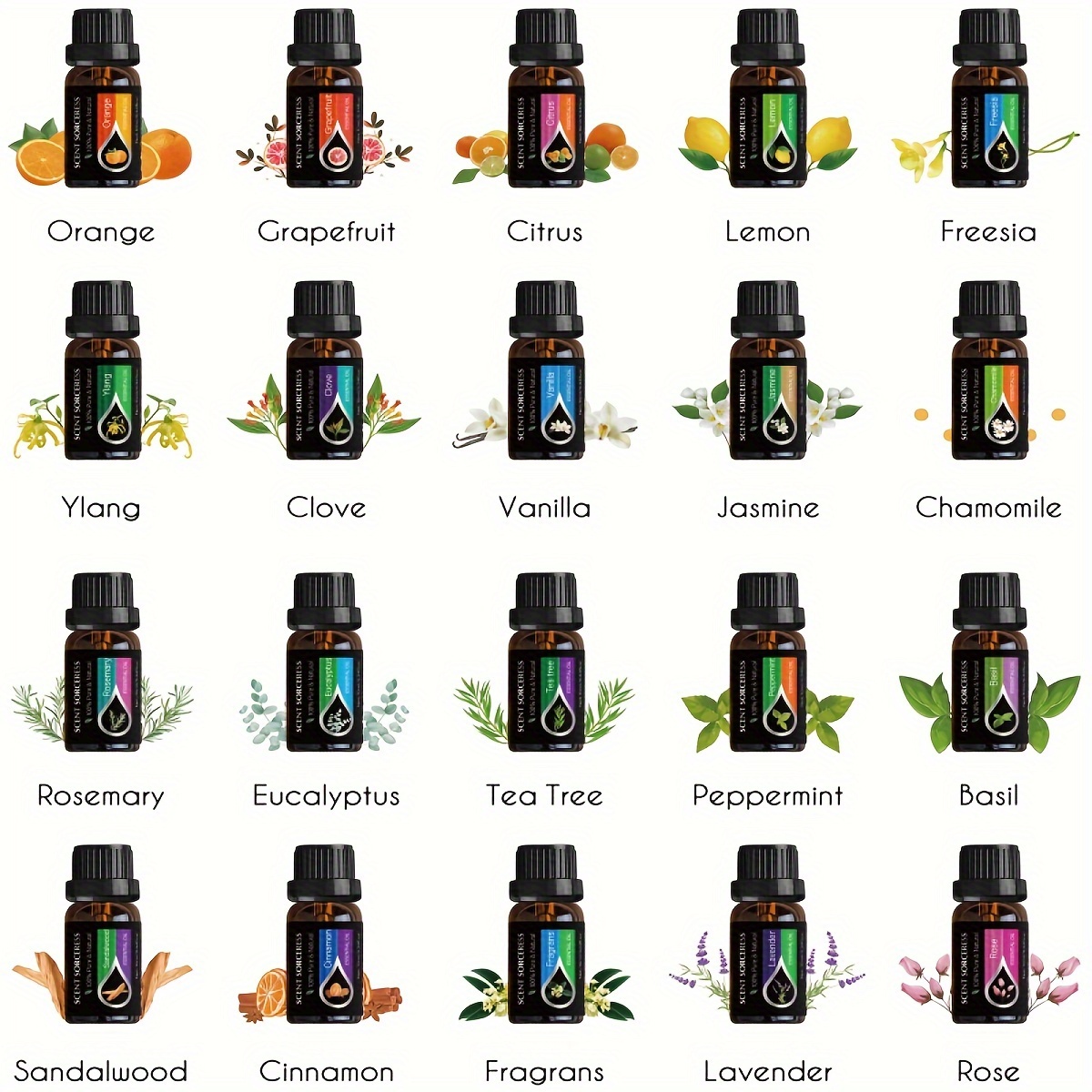 20 sztuk/zestaw Klasyczny Zest – Fragrance Oil Set recenzja i cena